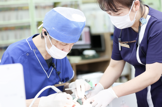 初診の流れ：治療開始